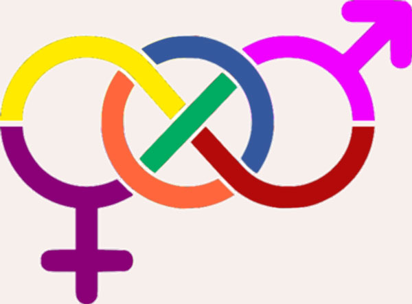 هر جنس گرایی