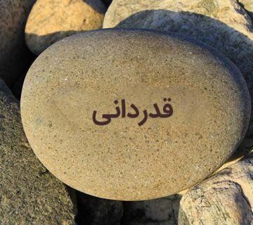 اگر احساس می کنید به قدر کافی از شما قدردانی نمی شود، چه کاری باید انجام دهید