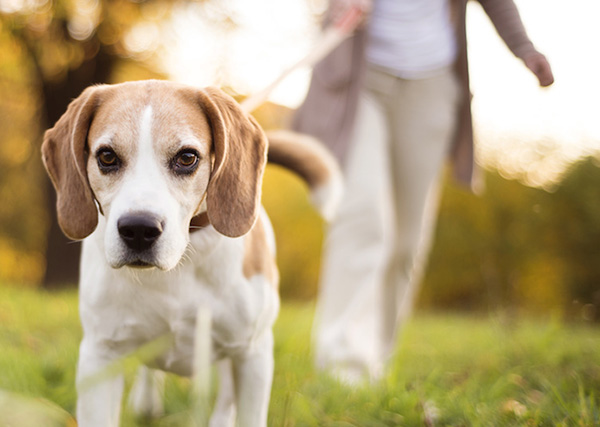 چگونه به خانواده خود برای مقابله با این غم کمک کنید؟