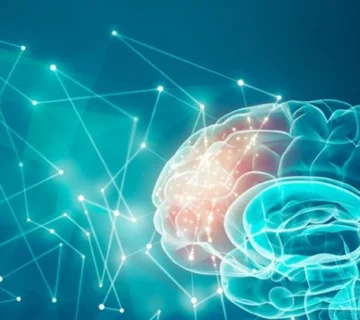 تفسیر نقشه مغزی