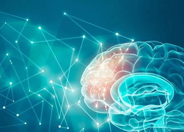 تفسیر نقشه مغزی ۱ تفسیر نقشه مغزی