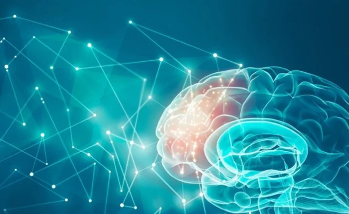 تفسیر نقشه مغزی