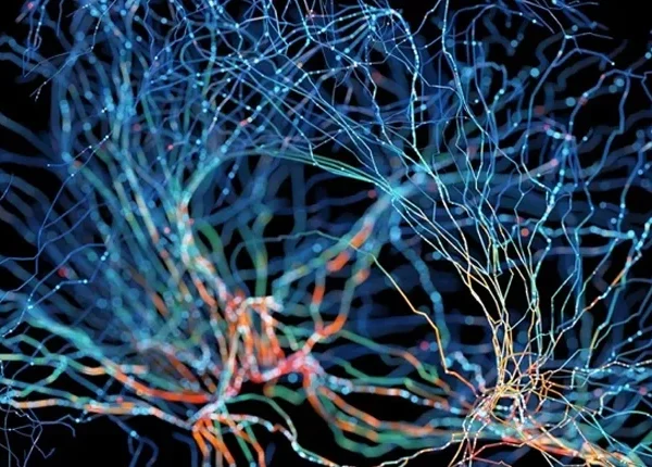 هزینه نقشه مغزی ۴ عوامل مؤثر روی هزینه نقشه مغزی